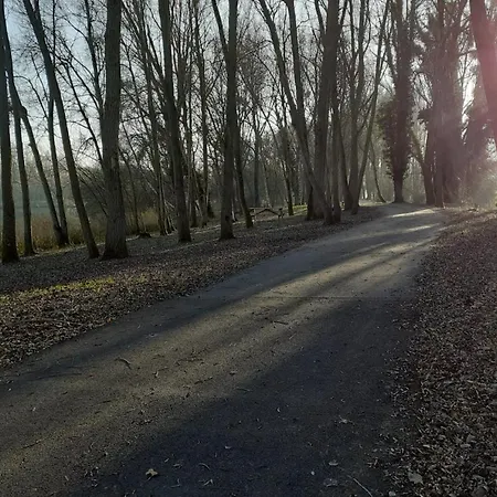 Gite Des Marronniers - Numero 3 Casa de Férias